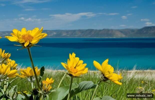 nature_028