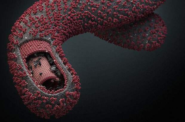 От этих изображений захватывает дух! Научные иллюстрации из России стали известны на весь мир