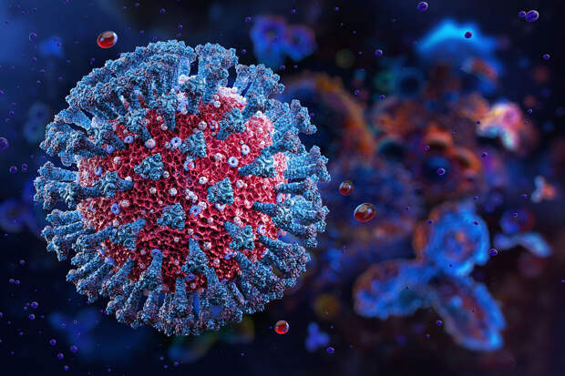ВВI: COVID-19 меняет микроструктуру двух областей мозга после выздоровления
