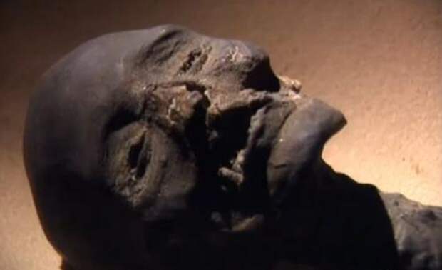 Следы кокаина и табака, обнаруженные на мумиях В 1992 году команда немецких исследователей обнаружила остатки кокаина и никотина на части египетских мумий, в рамках исследования под названием «Изучение использования галлюциногенных веществ в древних обществах».