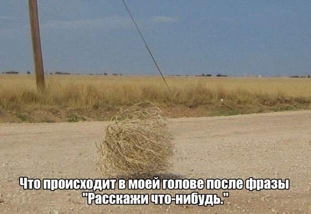 Прикольные картинки. Вечерний выпуск (57 фото)