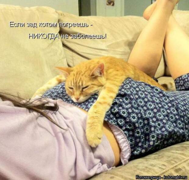 Котоматрицы(картинки с надписями)
