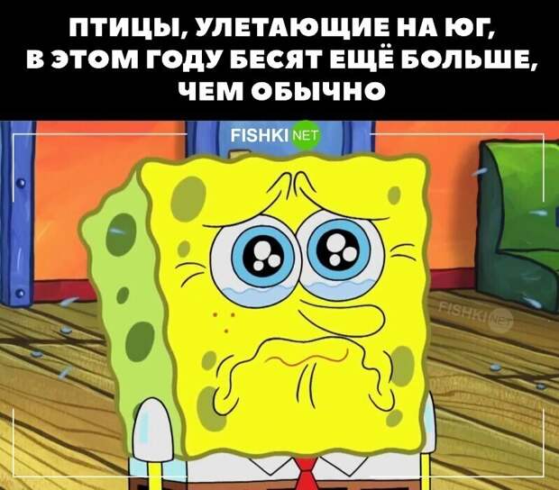 И каждую осень И каждую осень