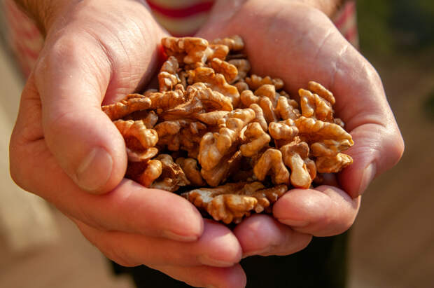 Нутрициолог Шарлотта Мартин призывает есть грецкие орехи для здоровья сердца