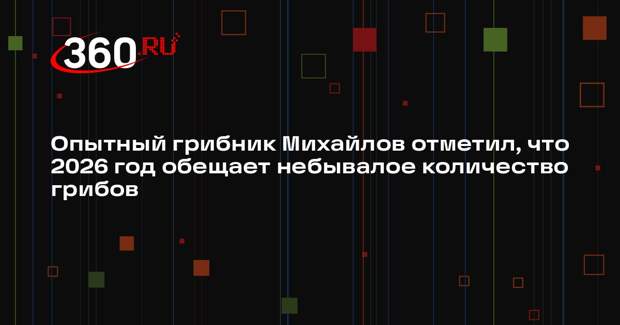 Опытный грибник Михайлов отметил, что 2026 год обещает небывалое количество грибов