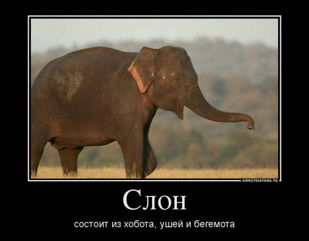 Демотиваторы и мотиваторы. Демотиваторы и веселые картинки_22-01-2013