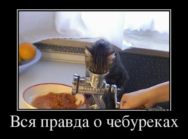 Жизнь удалась! Демотиваторы Очередная, подборка, демотиваторов, хорошего, настроенияисточник