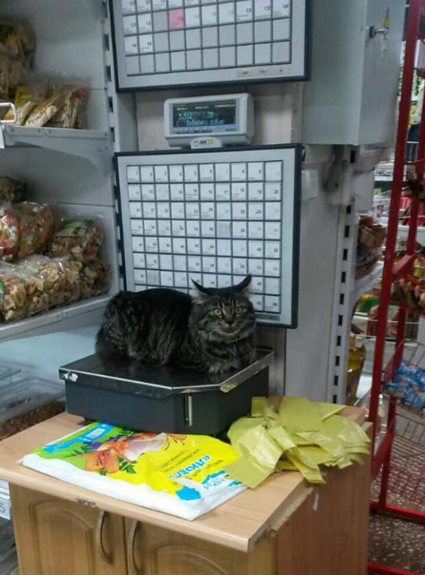Забавный работник магазина. Забавный работник магазина.