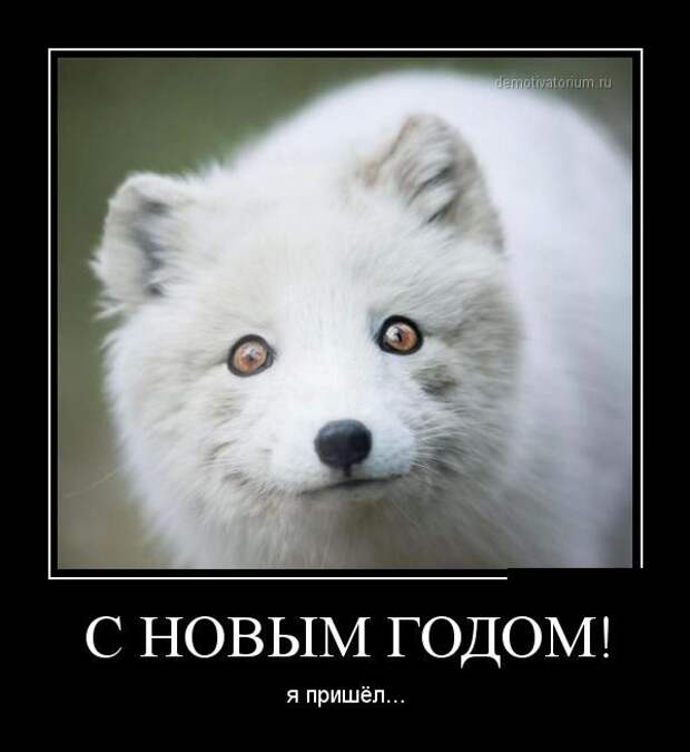 Праздник удался! Жмите лайк!