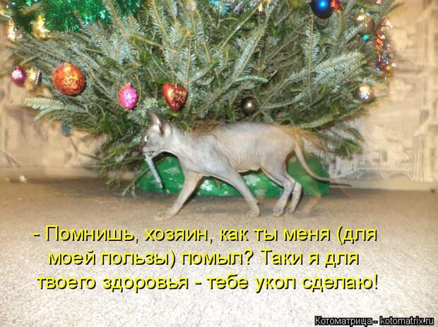 Котоматрица: - Помнишь, хозяин, как ты меня (для моей пользы) помыл? Таки я для твоего здоровья - тебе укол сделаю!