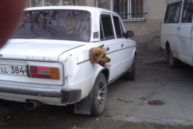 Давайте улыбаться вместе!