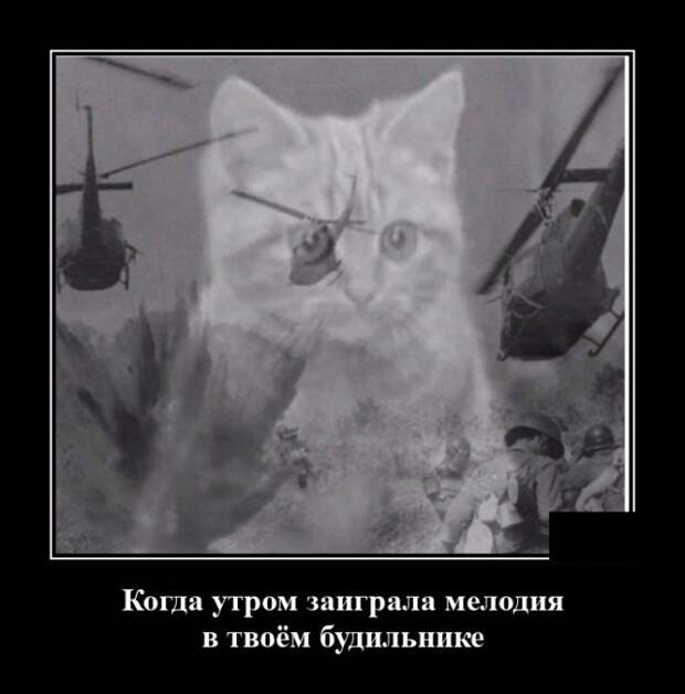 Демотиватор про будильник
