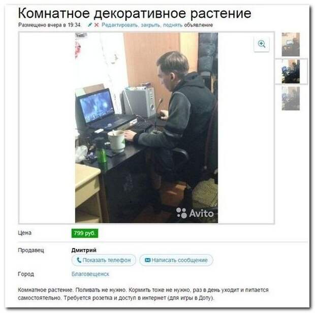 Смешные комментарии