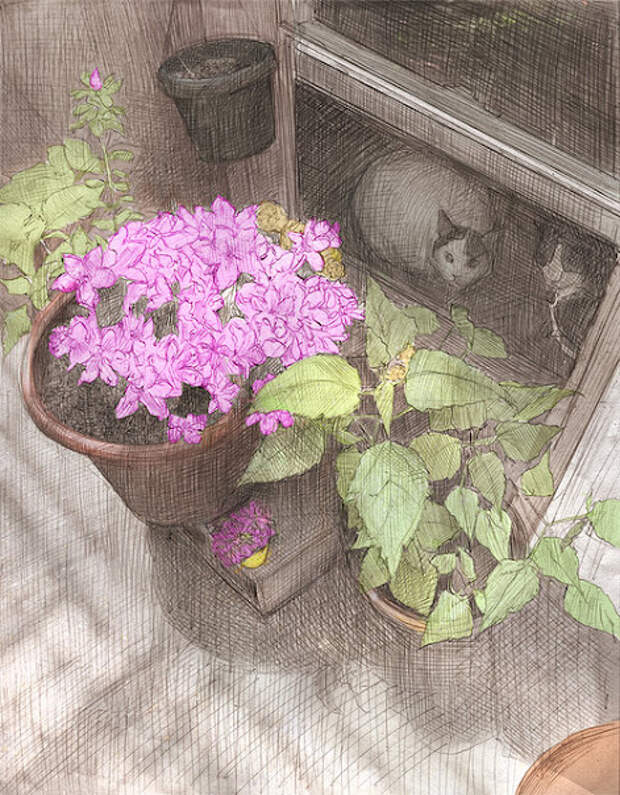 Художник Энн Маршалл (annmarshallart)