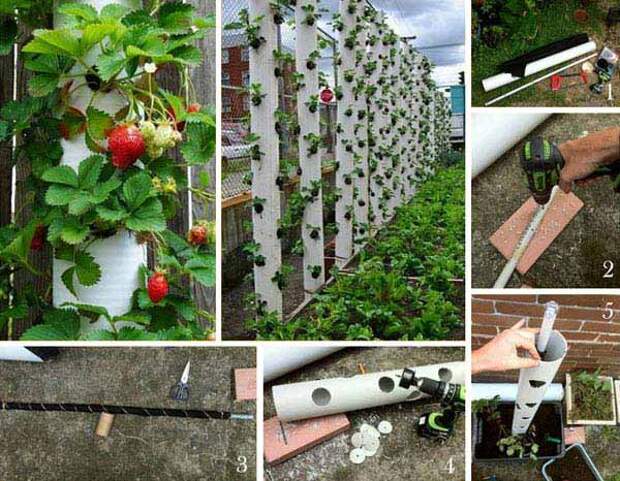 24-Highly-Creative-and-Clever-Gardening-Tricks-to-Enhance-Garden-homesthetics-decor-7