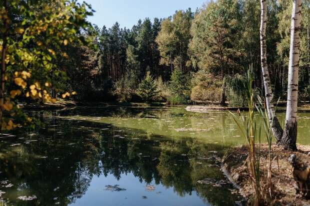 Рязанская область планирует участвовать в проекте по мониторингу качества окружающей среды