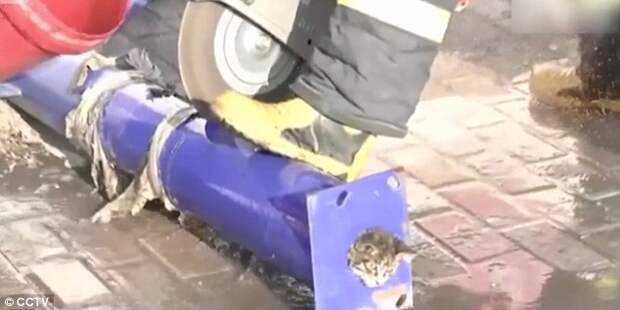 38e0b6f900000578-3811506-firefighters_decided_to_use_an_electric_saw_to_cut_the_pipe_wate-m-29_1475066018776
