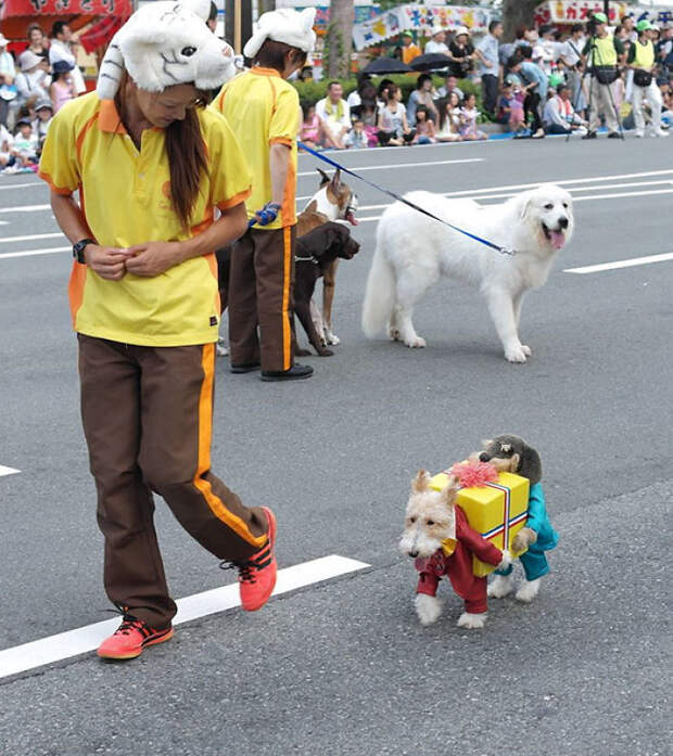 Gift-Bearer