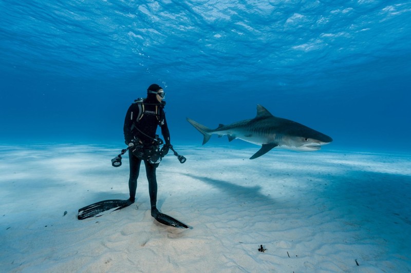 Журнал National Geographic опубликовал фотографии лауреатов премии "Лучшая фотография года - 2016" national geographic, природа, путешествия, фотография