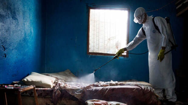 Развивается стремительно: в Африке выявлен вирус с высокой летальностью