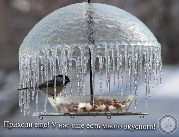 Много вкусного