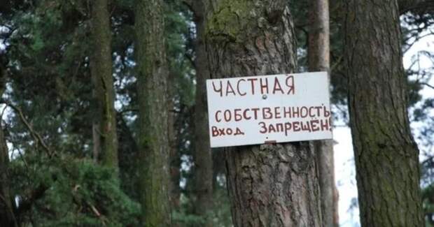 В Финляндии пересмотрят сделки с недвижимостью иностранных граждан за 20 лет