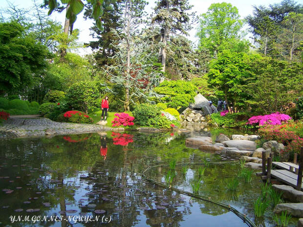 6418233501_764c3f6f5b_b[1] (700x525, 370Kb)