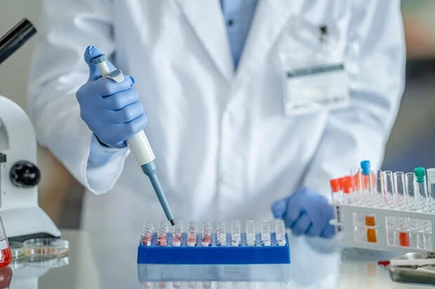 Британские учёные оценили риск использования чумы в вооружённых конфликтах