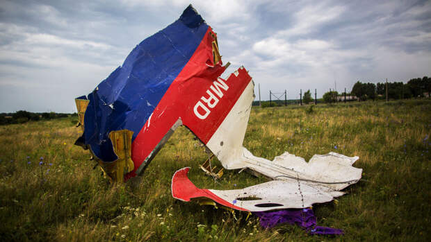 РФ представила в ICAO доказательства непричастности к крушению МН17