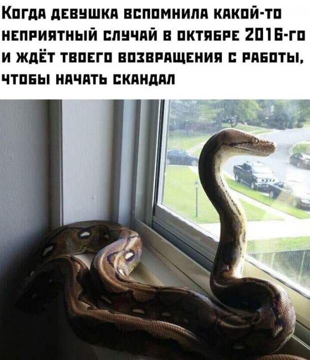 www.vsyako.net