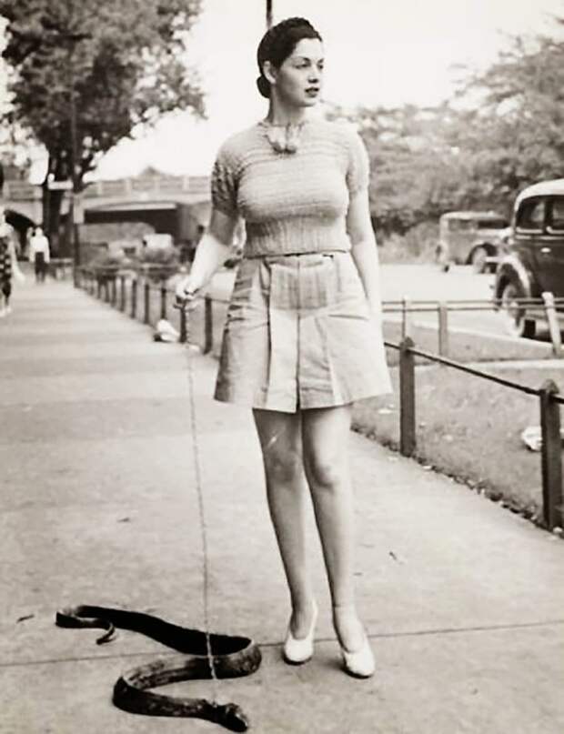Дама на прогулке со змеей  ретро, странность, фотография