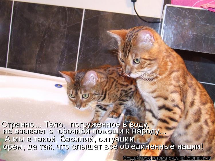 Котоматрица: Странно... Тело,  погруженное в воду,  не взывает о  срочной помощи к народу... орем, да так, что слышат все об'единенные нации! А мы в такой, Васи