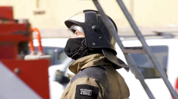 В Тульской области с 1 апреля начинается сезон повышенной пожароопасности в лесах