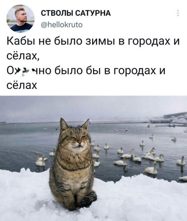 юмор