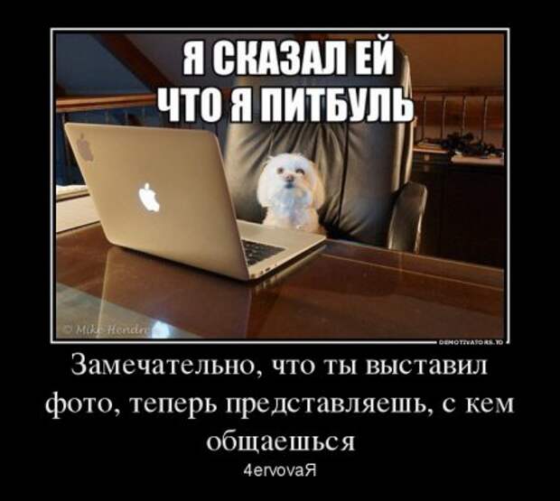 Демотиваторы, наши прикольные цитаты.
