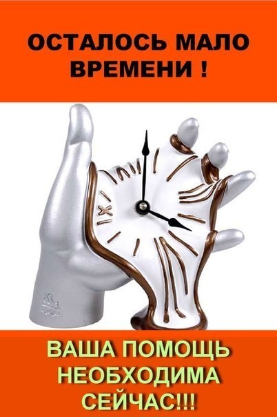 Отзовитесь! С большой надеждой ищем для малышей спасение!