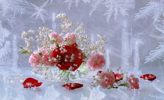 0_276bd_2b3ab754_XL (700x430, 107Kb)