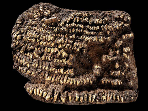 Самый старый кошелёк (4500 лет)