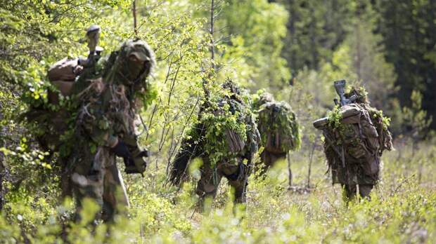 Войска ждут «зелёнку». Никакого замедления нет, – российский военкор