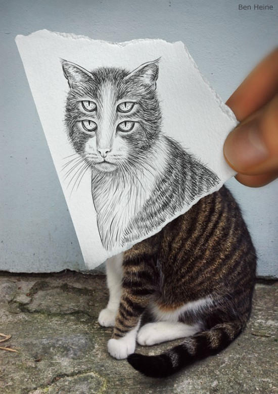 фотографии и рисунки