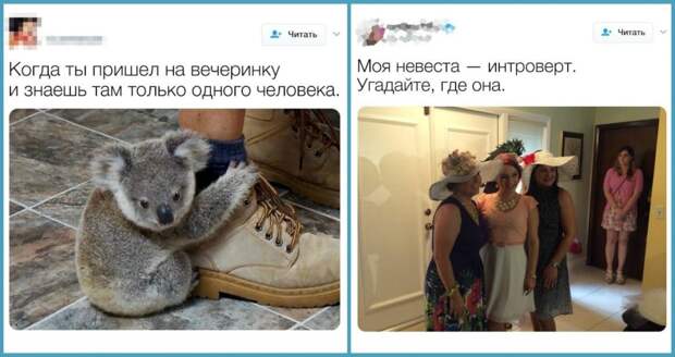 Подслушано интроверты