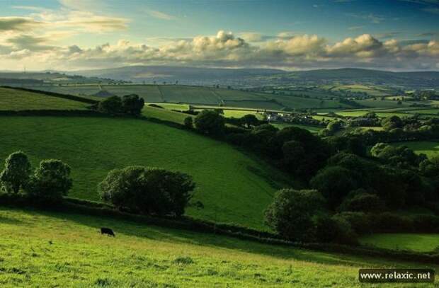 nature_013