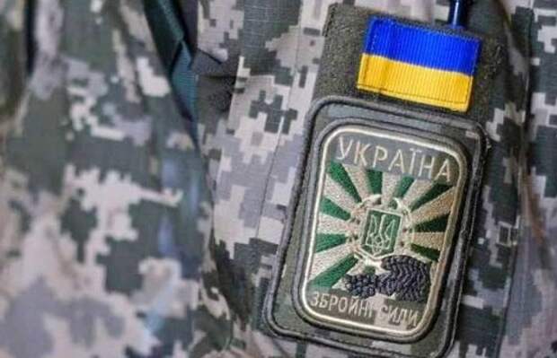 В ДНР сообщили, что ВСУ стягивают силы к ключевым городам Донбасса