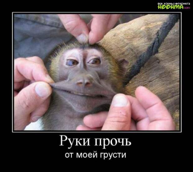 Веселая подборка демотиваторов