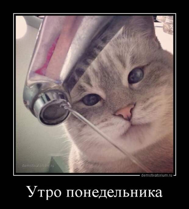 Демотиваторы-приколюхи (23 шт)