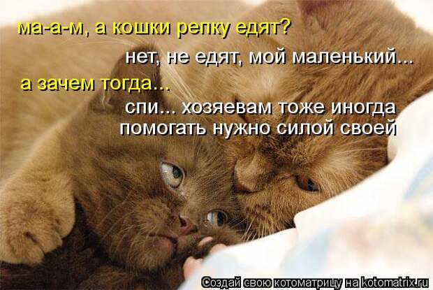 Котоматрица: ма-а-м, а кошки репку едят? нет, не едят, мой маленький... а зачем тогда... спи... хозяевам тоже иногда  помогать нужно силой своей