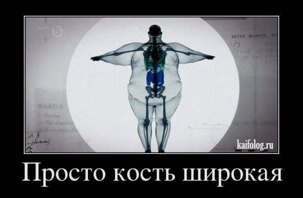 Демотиваторы - 227 (60 картинок)