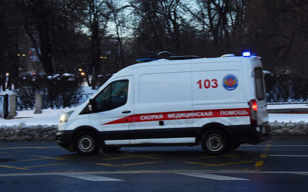 Россиянам объяснили появление толстых воробьев в городах