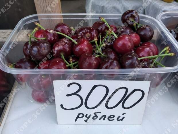 черешня за 3000 рублей за кило в Снежном