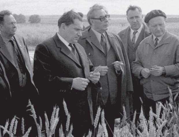 На полях опытного хозяйства по выращиванию зерновых культур. 1971 г